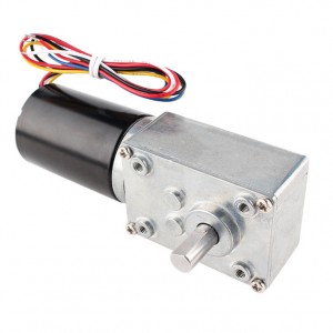 36mm Brushless DC Worm Gear Reduction Motor 12V 28RPM