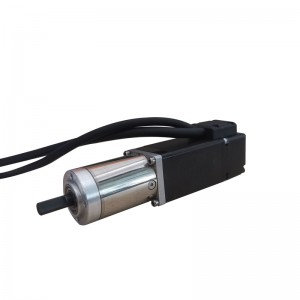 NEMA 11 Closed-loop Stepper Motor L=32mm 0.67A with Gear Ratio 100:1 Economy Planetary Gearbox